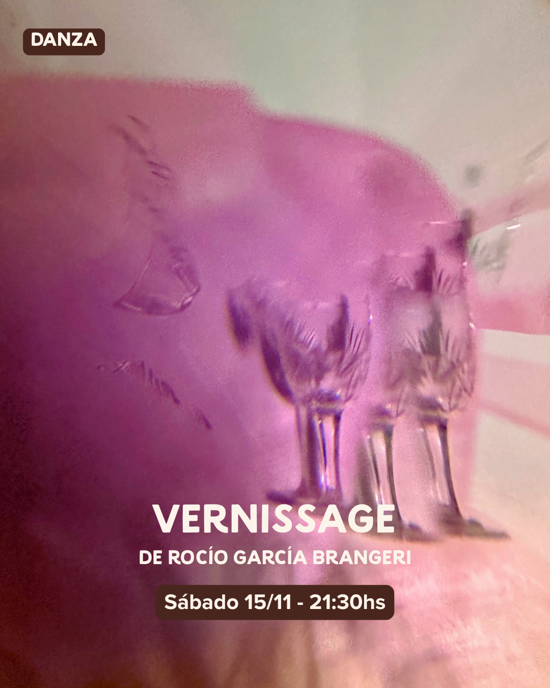 Vernissage de Rocío García Brangeri 13 - OíHoy